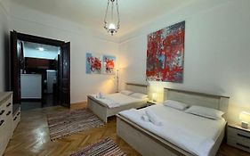 Joy City Stay Ungureanu 6B